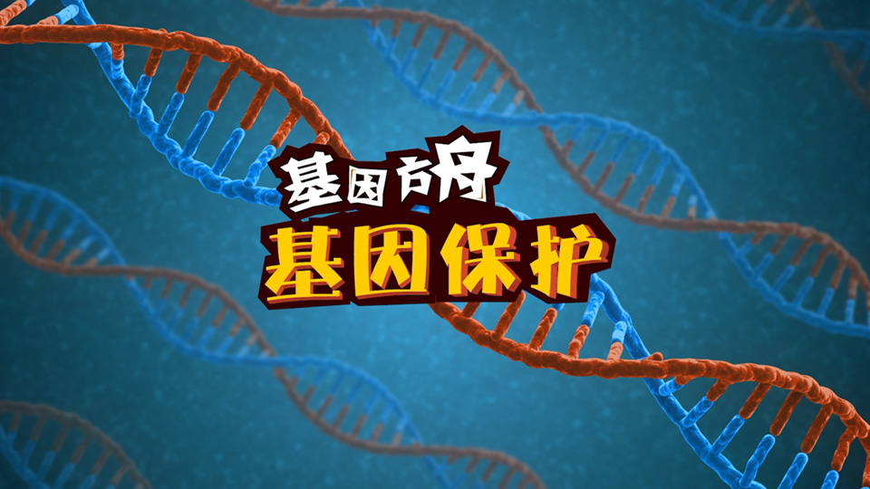 基因方舟 系列科普动画 - 《基因保护》